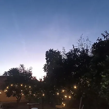 Coco * Cordoba