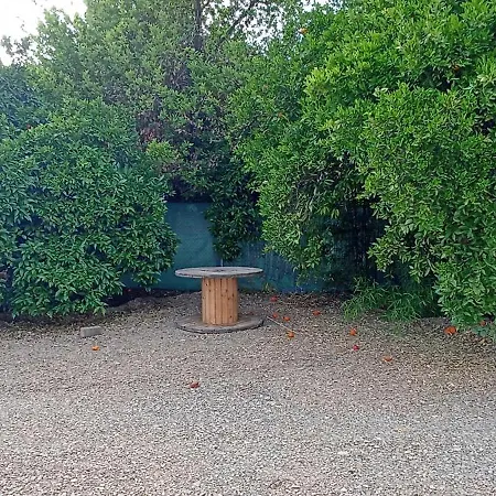 Coco * Кордова